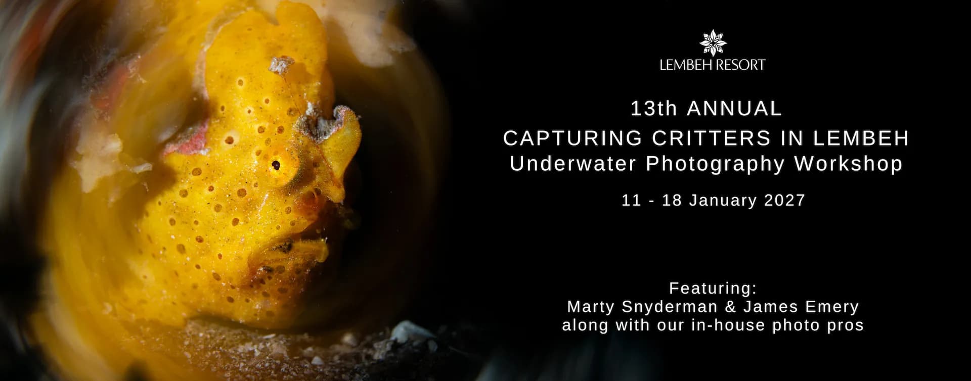 CCIL 2027 final banner