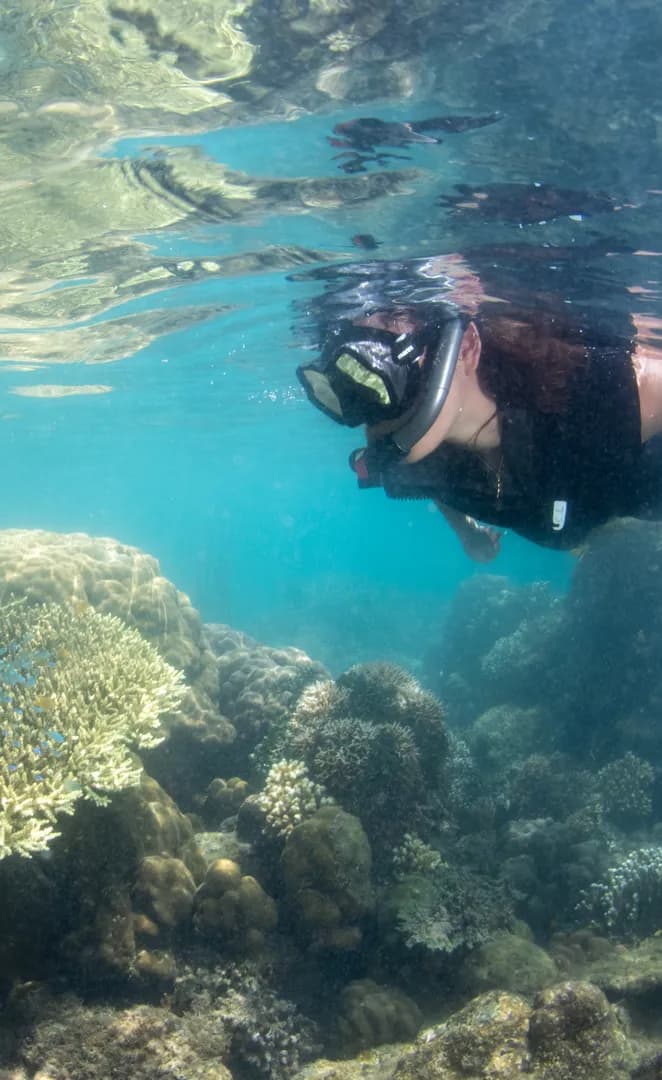 snorkeling