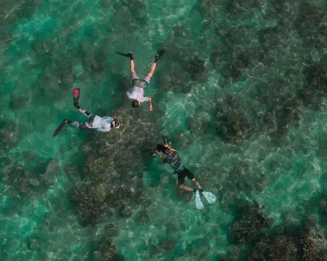 2_Guests Snorkeling.jpg