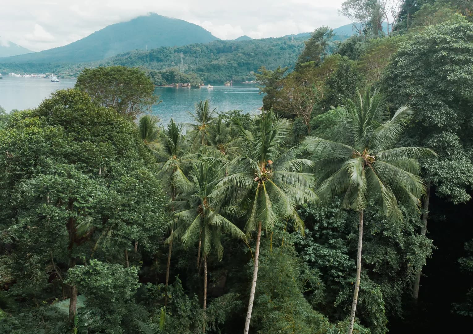 4_Lembeh Island.jpg