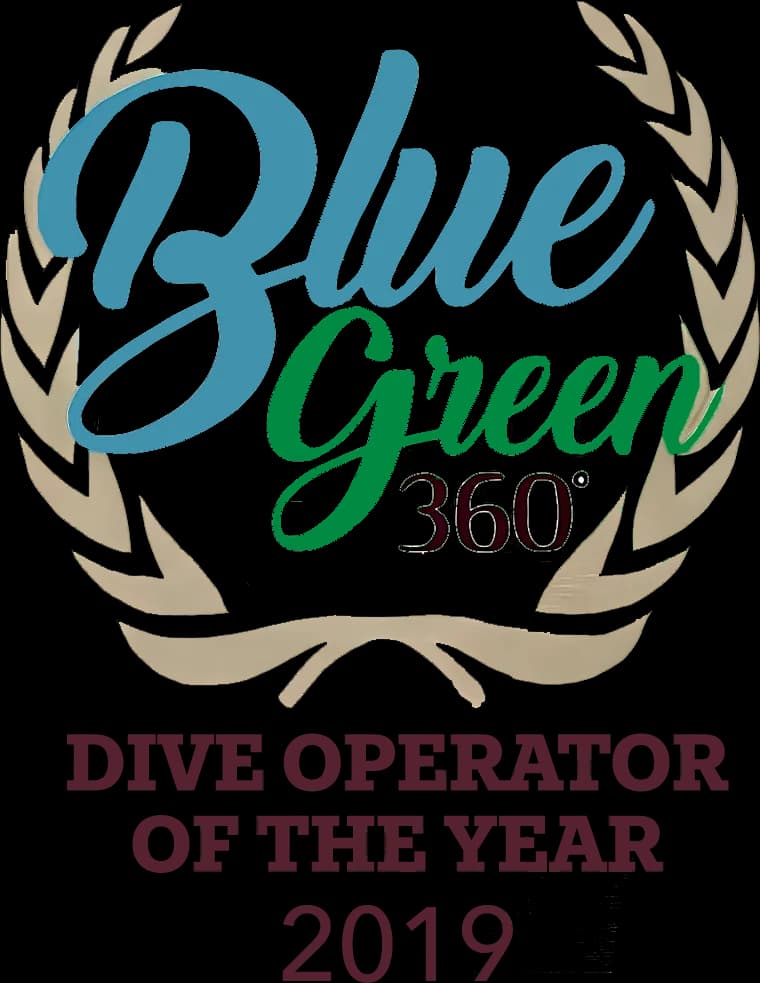 Blue Green Logo.png