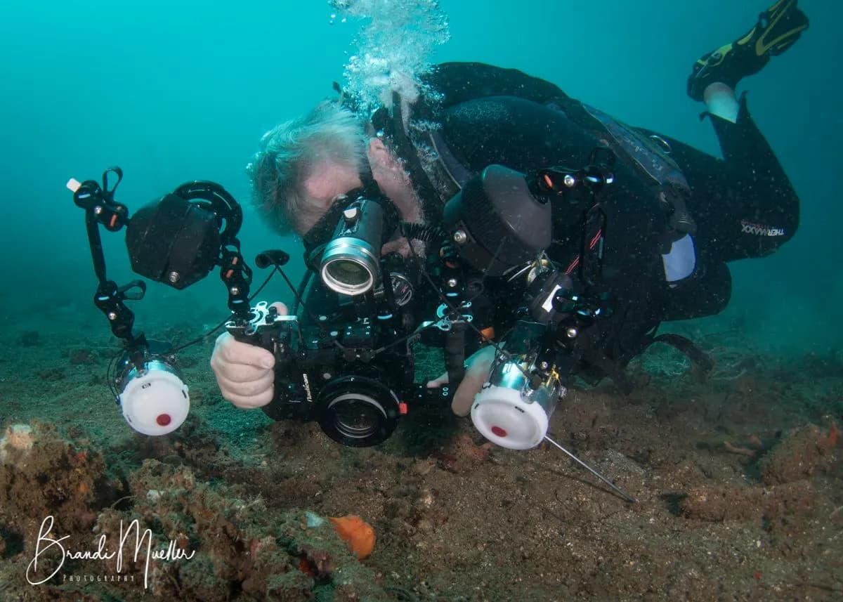 Diving in Lembeh