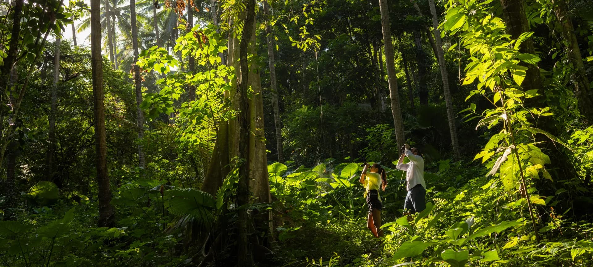 1_Land Tours Banner.jpg