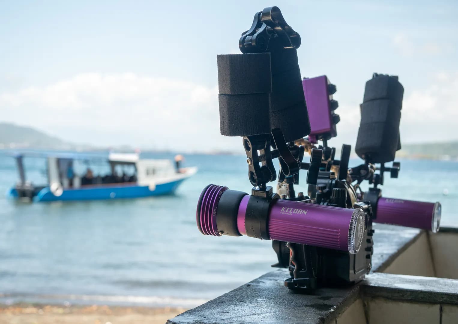 macro-videography-course