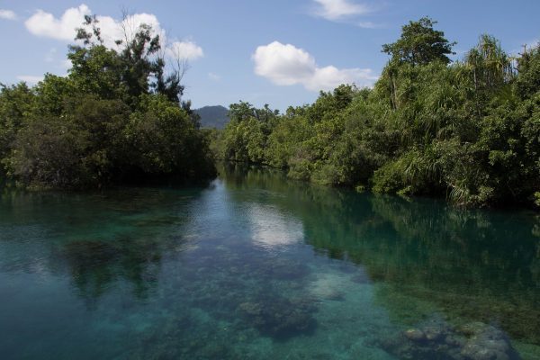 Batu angus Mangrove, Lembeh Strait Indonesia 2017