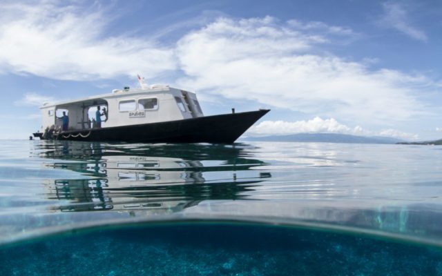 Diving in Lembeh Strait