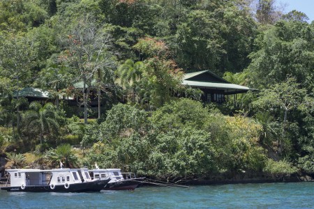 Lembeh Resort - Palm Tree - Patrick Blanc -  Morten Lund Hansen