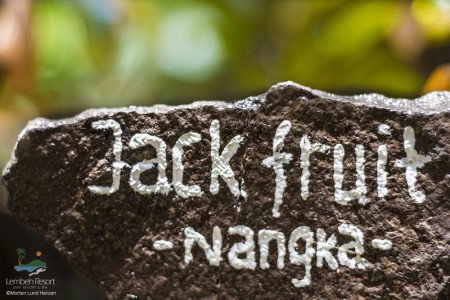 Jack-Fruit