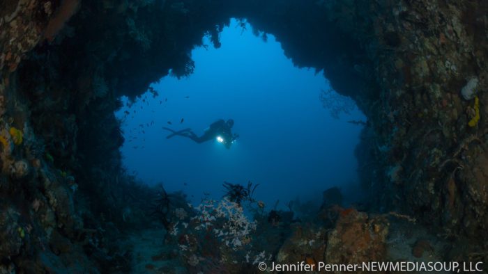 Muck diving in Lembeh