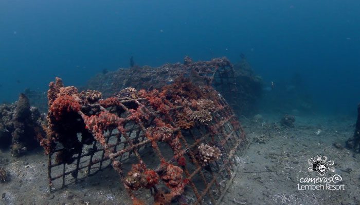 Lembeh Resort House Reef 2016