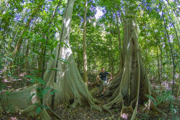 Tangkoko National Park