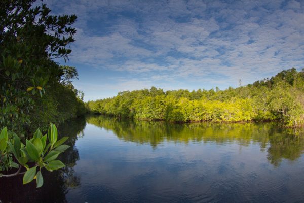 Lembeh Resort Tours