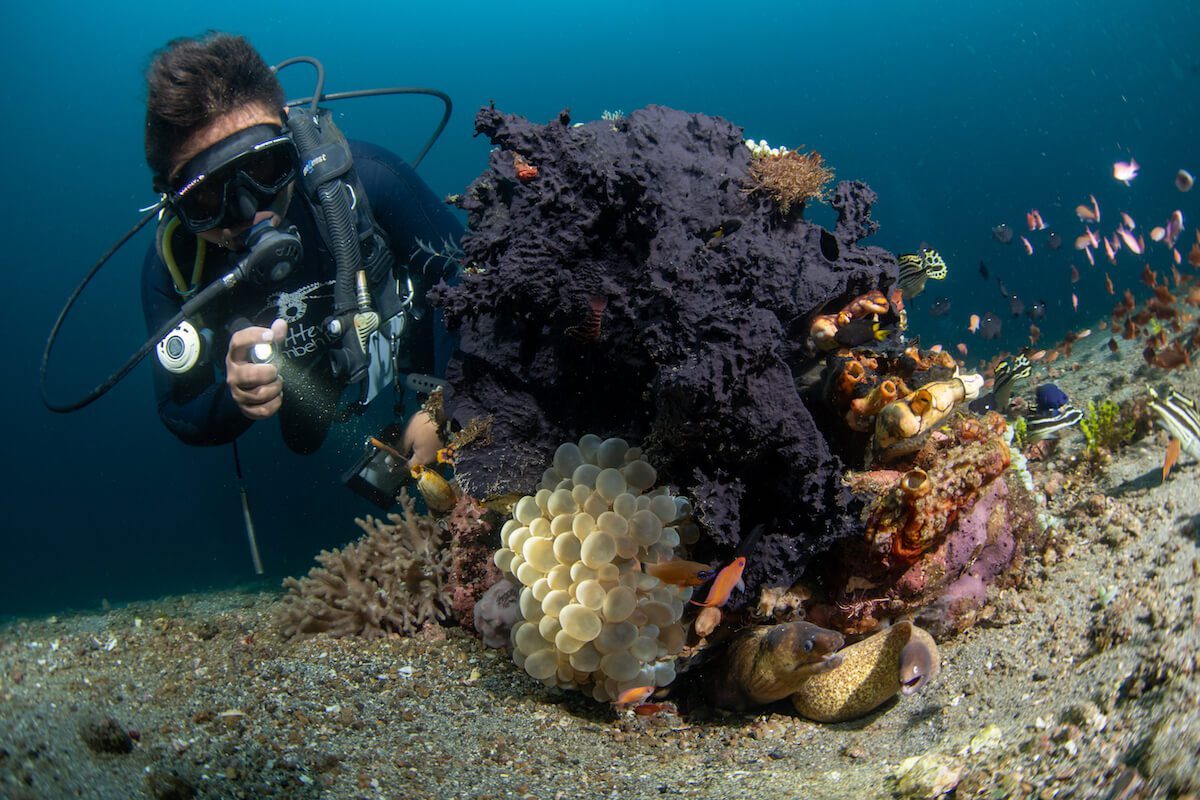 Vadly Bawata Lembeh