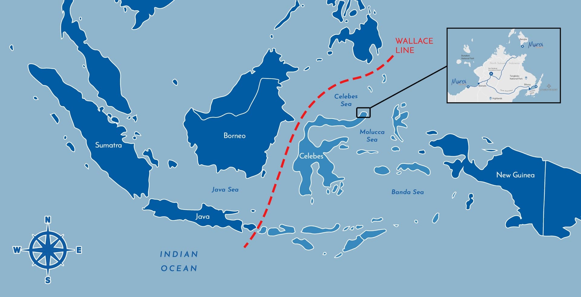 wallace line in Indonesia by Lembeh resort